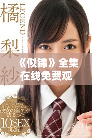 《似锦》全集在线免费观看，带你领略细腻情感与精彩剧情