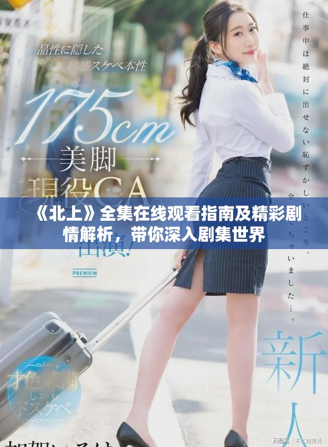 《北上》全集在线观看指南及精彩剧情解析，带你深入剧集世界