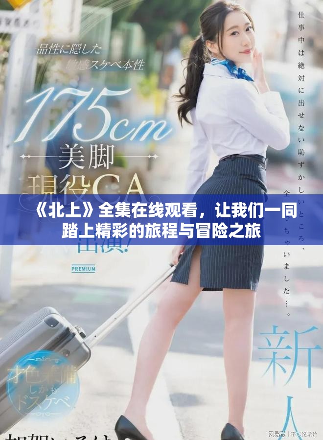 《北上》全集在线观看，让我们一同踏上精彩的旅程与冒险之旅