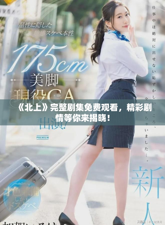 《北上》完整剧集免费观看，精彩剧情等你来揭晓！