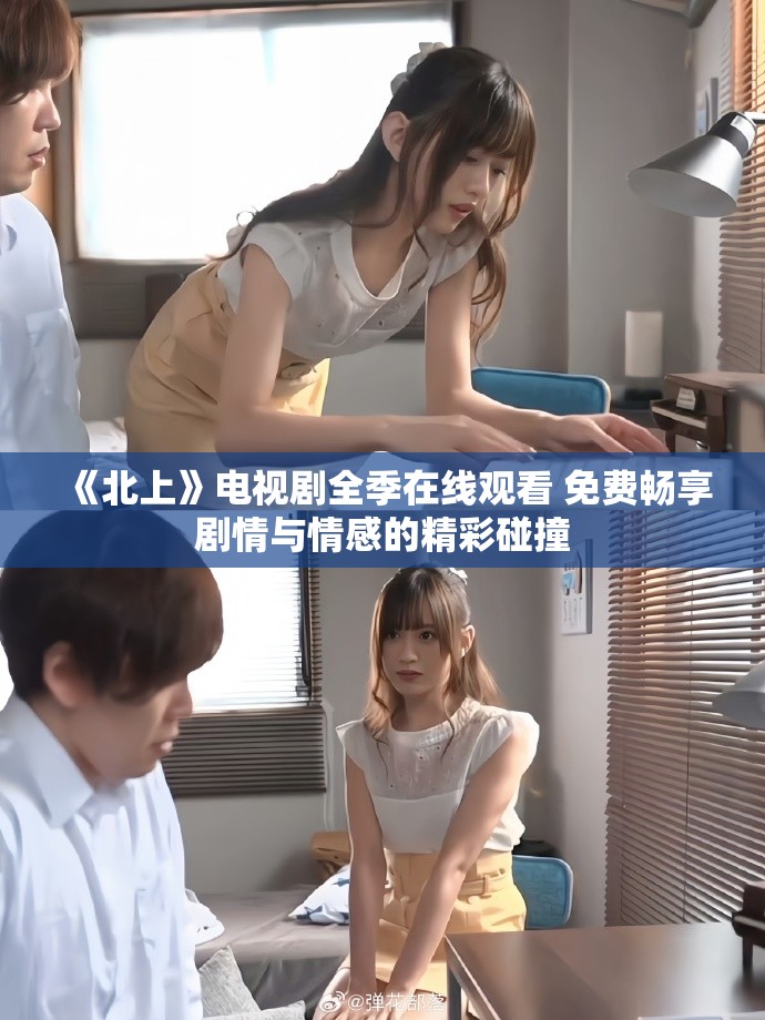 《北上》电视剧全季在线观看 免费畅享剧情与情感的精彩碰撞
