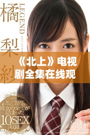 《北上》电视剧全集在线观看，畅享1到40集精彩剧情免费呈现