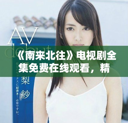 《南来北往》电视剧全集免费在线观看，精彩剧情不容错过