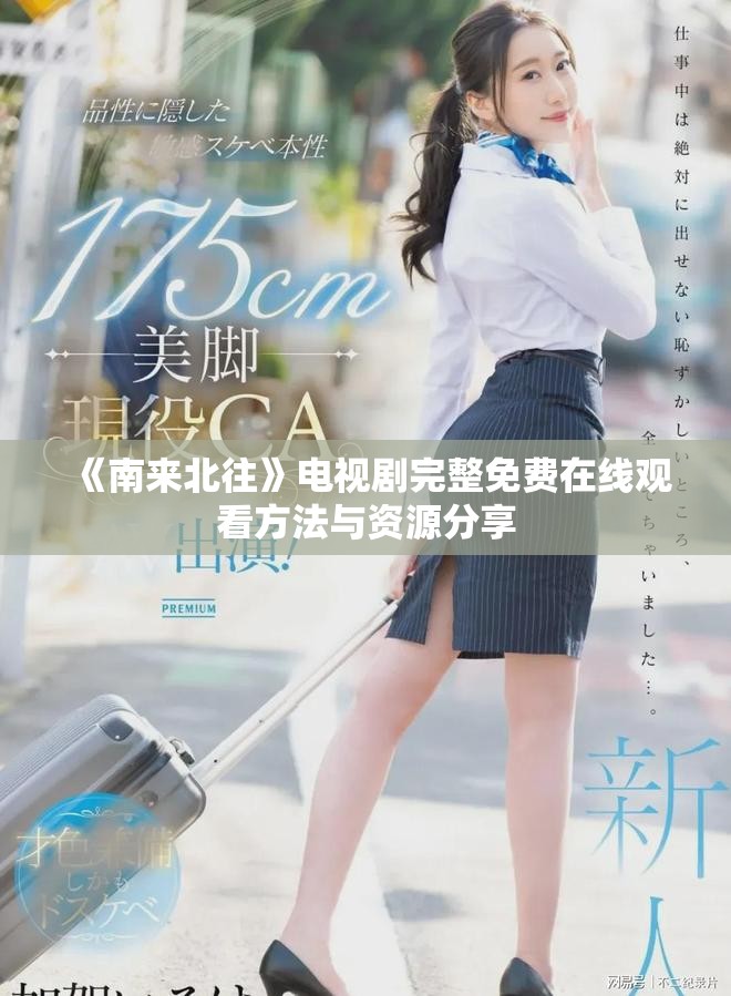 《南来北往》电视剧完整免费在线观看方法与资源分享