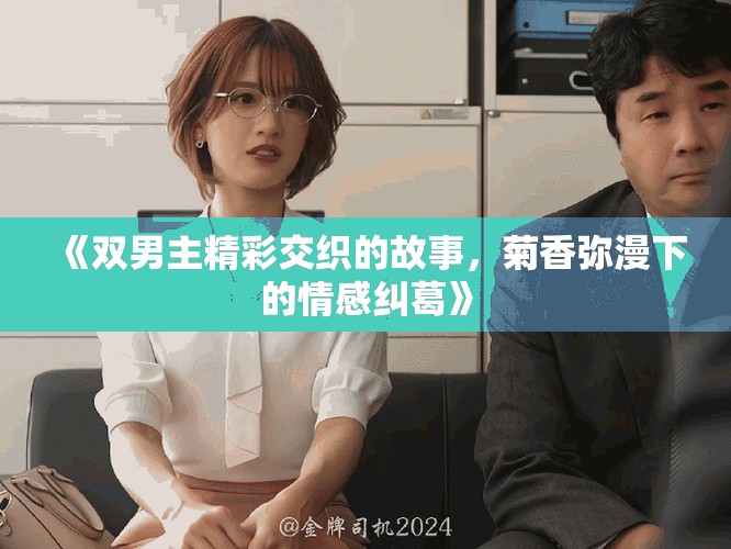 《双男主精彩交织的故事，菊香弥漫下的情感纠葛》
