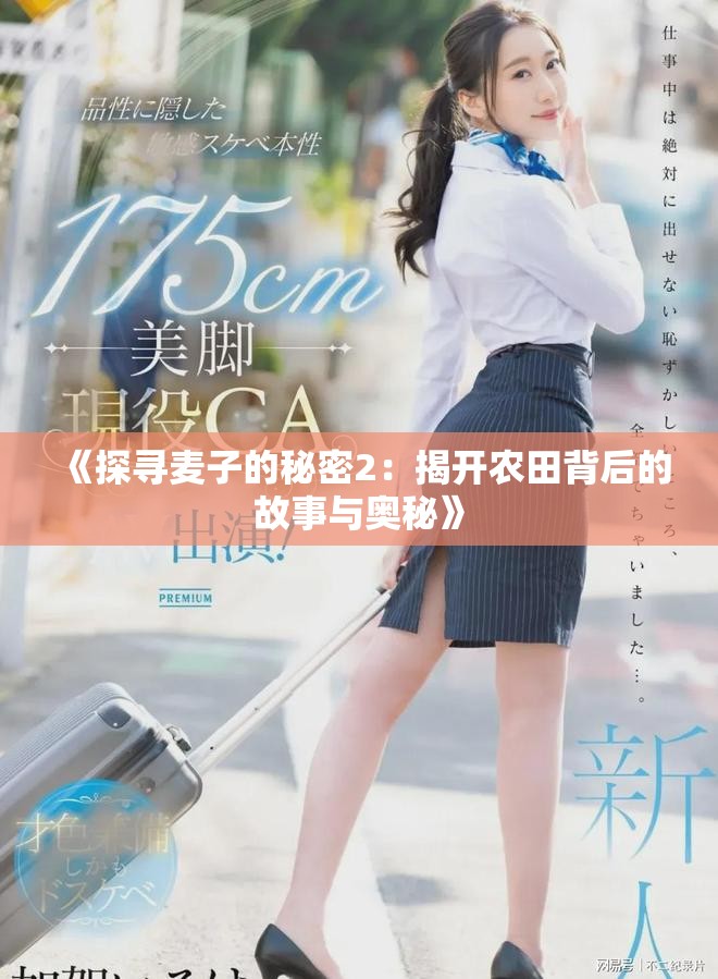 《探寻麦子的秘密2：揭开农田背后的故事与奥秘》