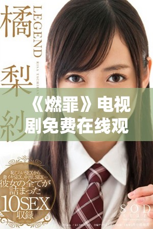《燃罪》电视剧免费在线观看指南与精彩剧情介绍