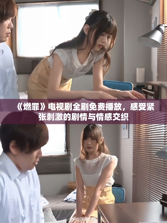《燃罪》电视剧全剧免费播放，感受紧张刺激的剧情与情感交织