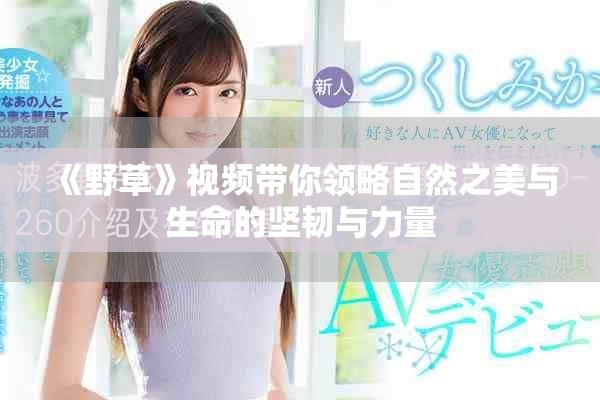 《野草》视频带你领略自然之美与生命的坚韧与力量
