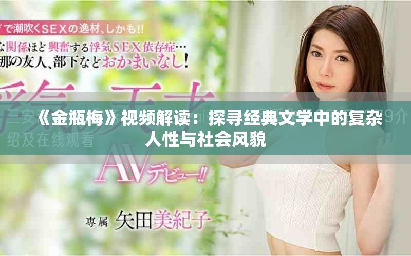 《金瓶梅》视频解读：探寻经典文学中的复杂人性与社会风貌