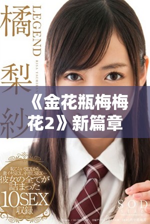 《金花瓶梅梅花2》新篇章：探寻梅花背后的故事与传承