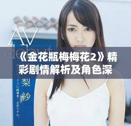 《金花瓶梅梅花2》精彩剧情解析及角色深度剖析与你分享