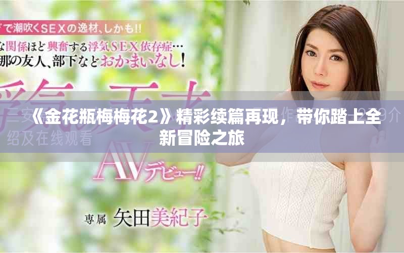 《金花瓶梅梅花2》精彩续篇再现，带你踏上全新冒险之旅