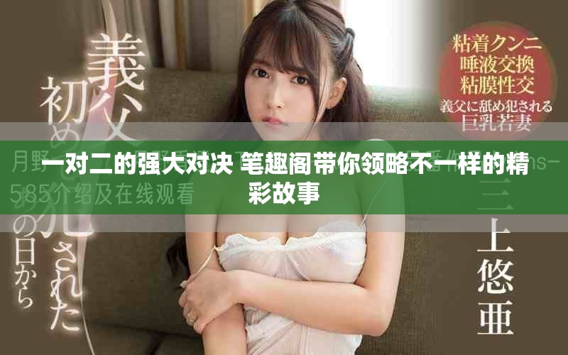 一对二的强大对决 笔趣阁带你领略不一样的精彩故事