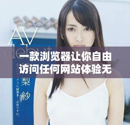 一款浏览器让你自由访问任何网站体验无阻碍上网乐趣
