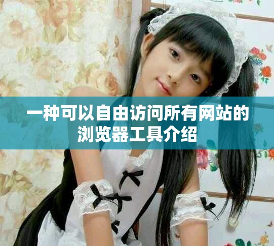 一种可以自由访问所有网站的浏览器工具介绍