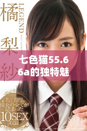 七色猫55.66a的独特魅力与精彩体验详解