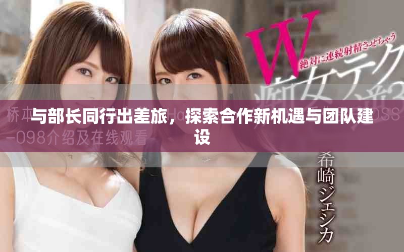 与部长同行出差旅，探索合作新机遇与团队建设