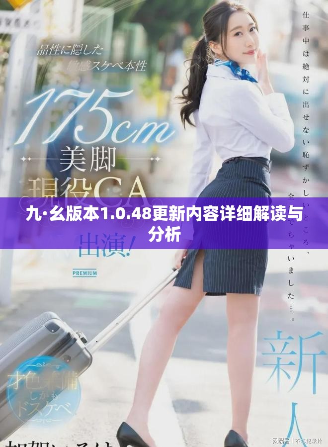 九·幺版本1.0.48更新内容详细解读与分析