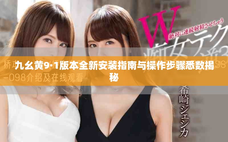 九幺黄9·1版本全新安装指南与操作步骤悉数揭秘