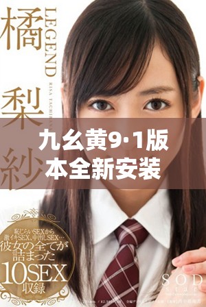 九幺黄9·1版本全新安装指南带你轻松掌握安装步骤与技巧
