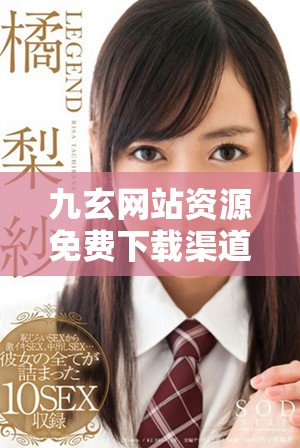 九玄网站资源免费下载渠道全面解析与推荐