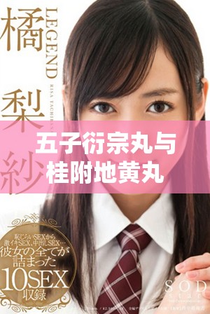 五子衍宗丸与桂附地黄丸的结合疗效分析与应用探讨