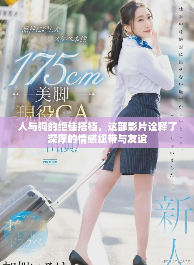 人与狗的绝佳搭档，这部影片诠释了深厚的情感纽带与友谊