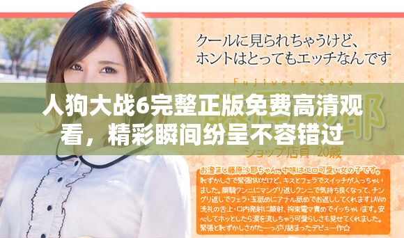 人狗大战6完整正版免费高清观看，精彩瞬间纷呈不容错过