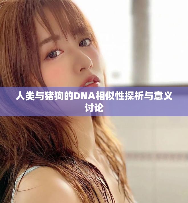 人类与猪狗的DNA相似性探析与意义讨论