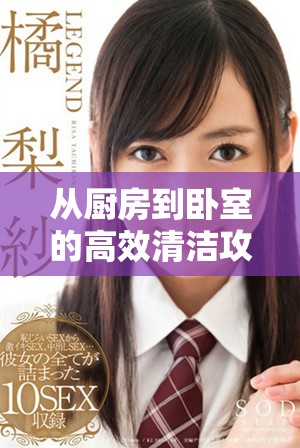 从厨房到卧室的高效清洁攻略，助你轻松整理整个家居环境