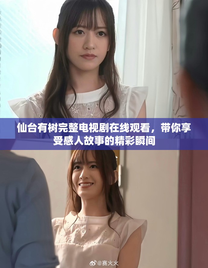 仙台有树完整电视剧在线观看，带你享受感人故事的精彩瞬间