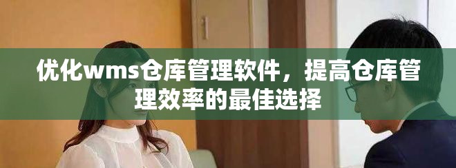 优化wms仓库管理软件，提高仓库管理效率的最佳选择