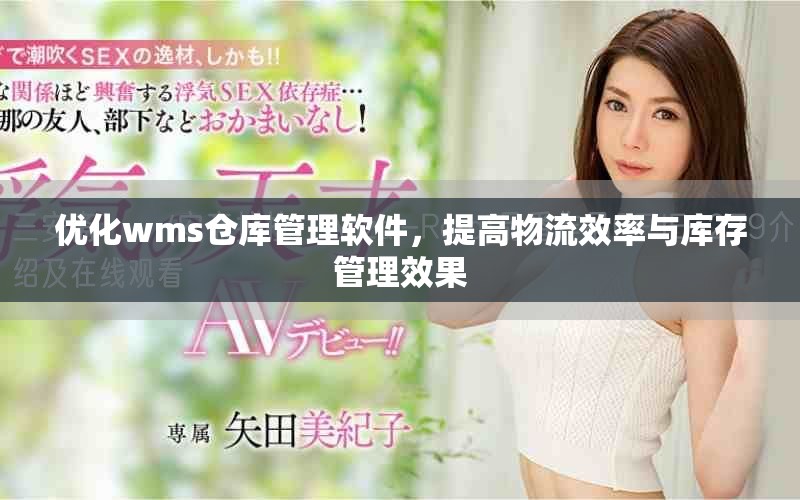 优化wms仓库管理软件，提高物流效率与库存管理效果