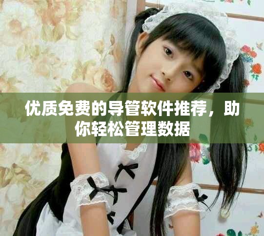 优质免费的导管软件推荐，助你轻松管理数据