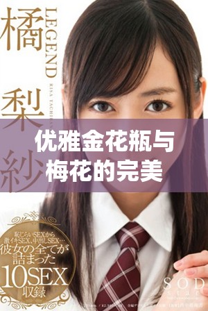 优雅金花瓶与梅花的完美融合展现传统艺术魅力