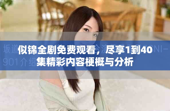 似锦全剧免费观看，尽享1到40集精彩内容梗概与分析