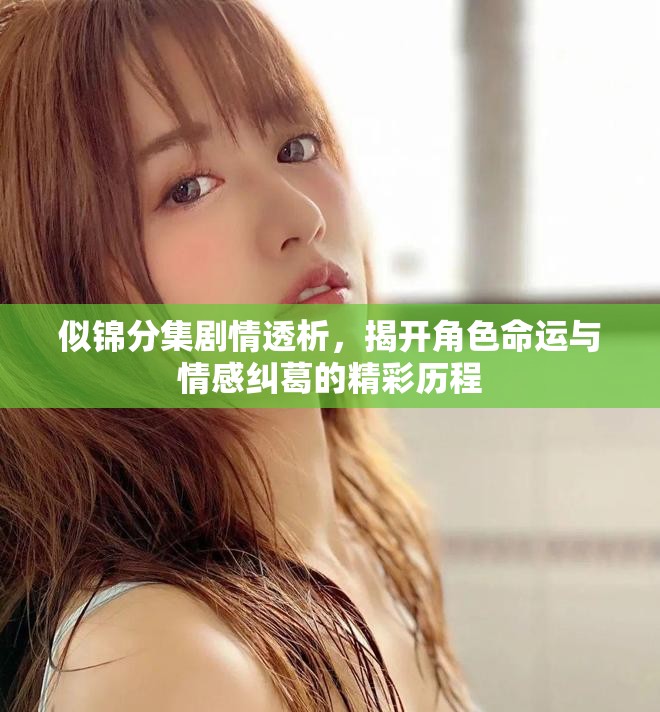 似锦分集剧情透析，揭开角色命运与情感纠葛的精彩历程