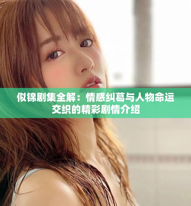 似锦剧集全解：情感纠葛与人物命运交织的精彩剧情介绍