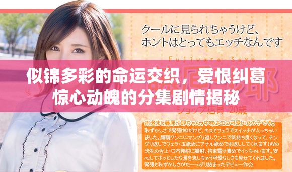 似锦多彩的命运交织，爱恨纠葛惊心动魄的分集剧情揭秘