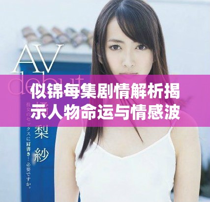 似锦每集剧情解析揭示人物命运与情感波澜的精彩演绎