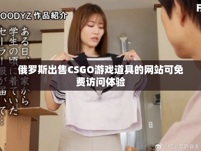 俄罗斯出售CSGO游戏道具的网站可免费访问体验
