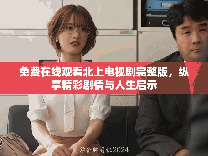 免费在线观看北上电视剧完整版，纵享精彩剧情与人生启示
