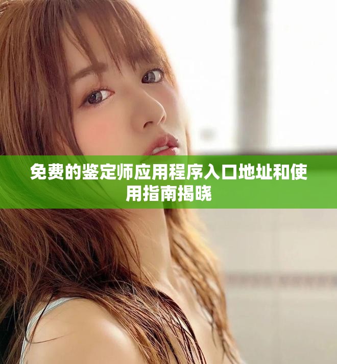 免费的鉴定师应用程序入口地址和使用指南揭晓