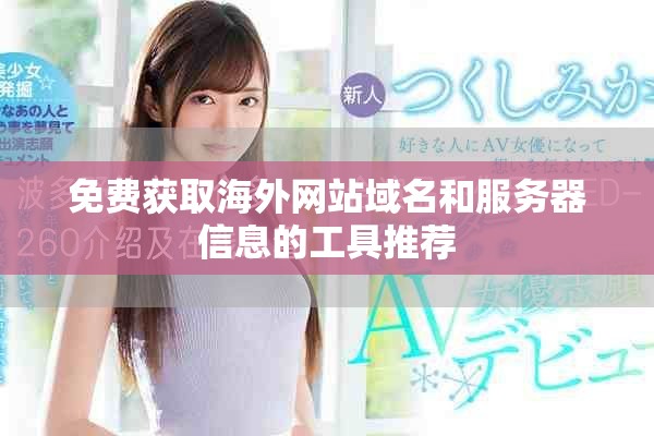 免费获取海外网站域名和服务器信息的工具推荐