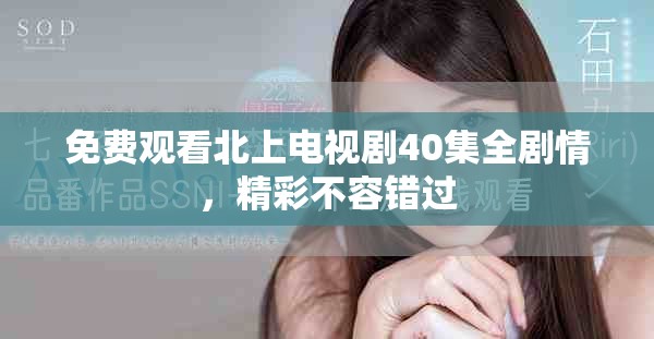 免费观看北上电视剧40集全剧情，精彩不容错过