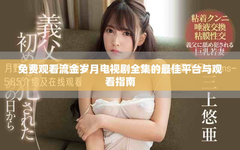 免费观看流金岁月电视剧全集的最佳平台与观看指南