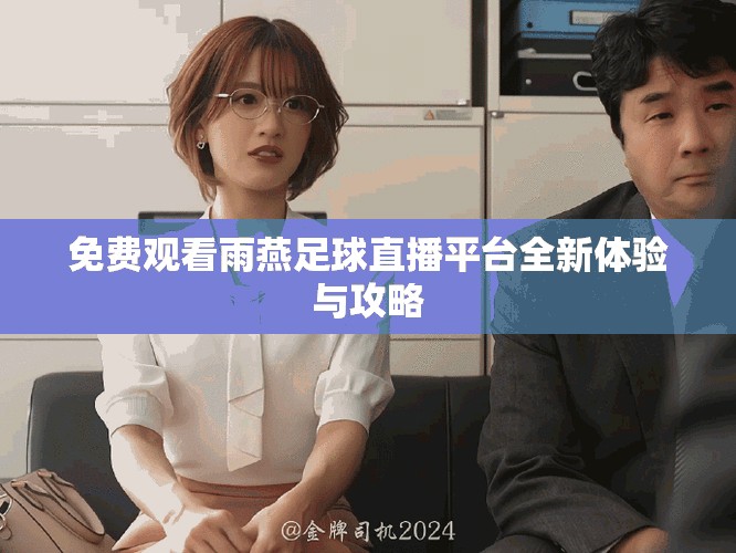 免费观看雨燕足球直播平台全新体验与攻略