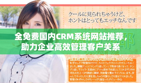 全免费国内CRM系统网站推荐，助力企业高效管理客户关系