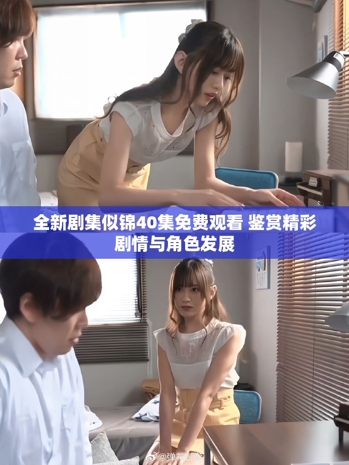 全新剧集似锦40集免费观看 鉴赏精彩剧情与角色发展